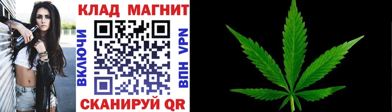 ГАШ Куса