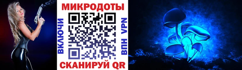 Псилоцибиновые грибы мицелий Куса
